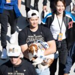 shohei ohtani decoy dog