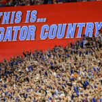 florida football gainesville gators fans stadium