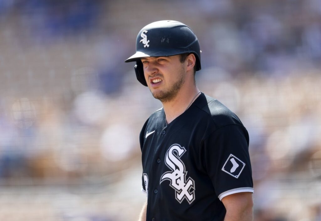 kyle teel white sox