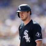 kyle teel white sox