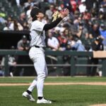 White Sox, Davis Martin