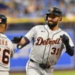 Tigers, Rays