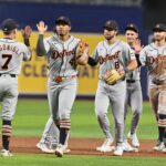 Tigers, Rays