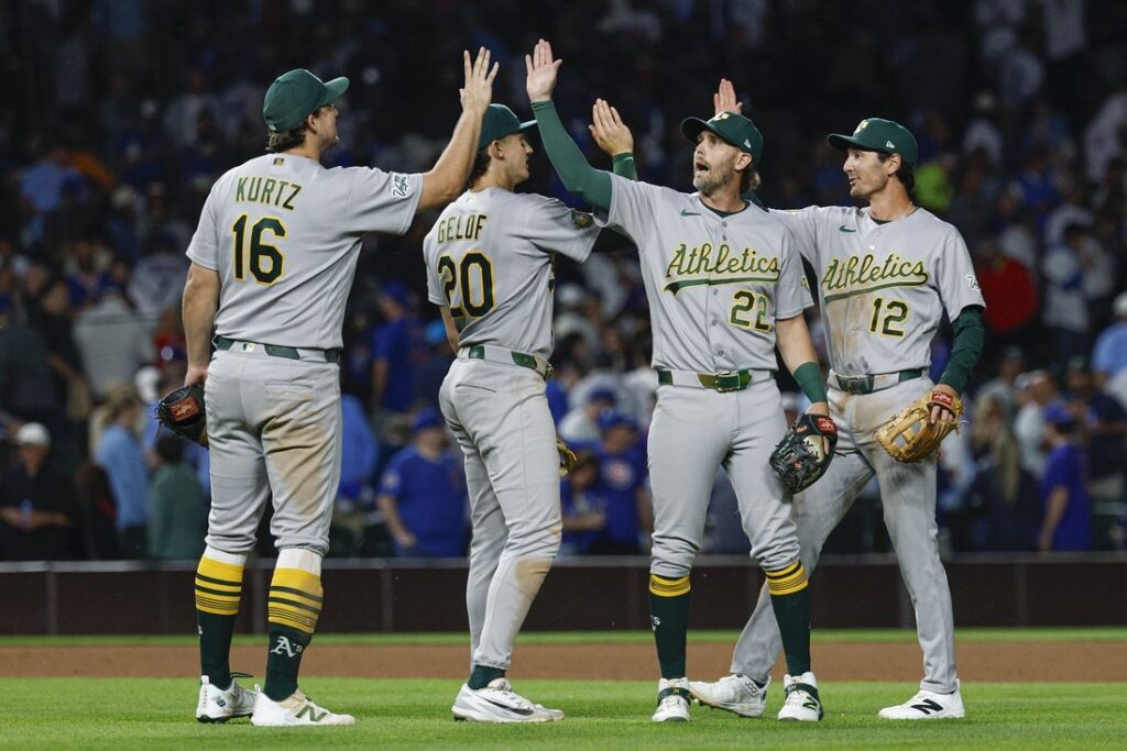cubs athletics