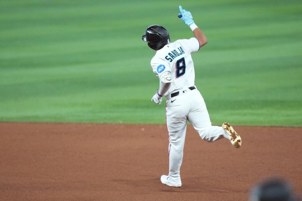 marlins rays