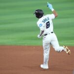 marlins rays