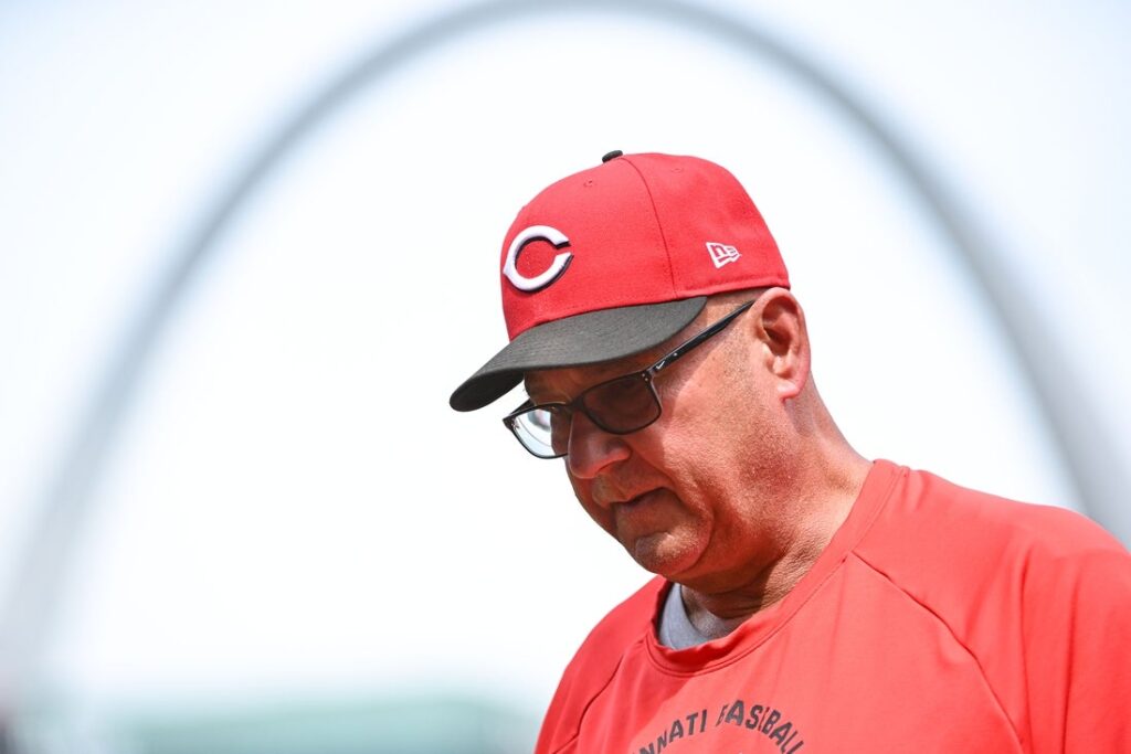 reds, cardinals