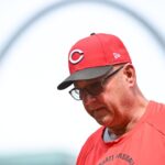 reds, cardinals