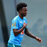vinicius brazil