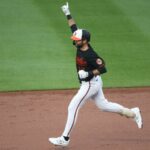orioles