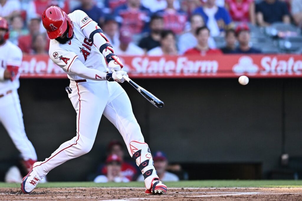 angels rays adell