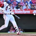 angels rays adell