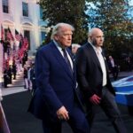 trump ufc