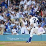 Dodgers, Rays