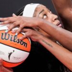 Indiana fever