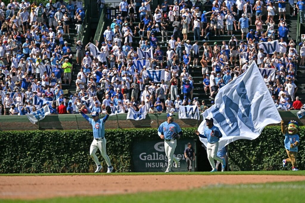 chicago cubs
