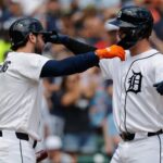 tigers