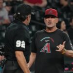 twins diamondbacks