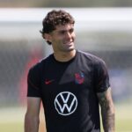 pulisic