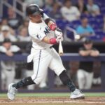 marlins