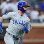 cubs
