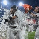 Chicago White Sox