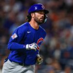 Dansby Swanson