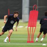 christian pulisic