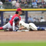 brewers