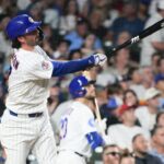 cubs