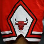 Chicago Bulls logo