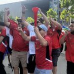 Egypt, fans