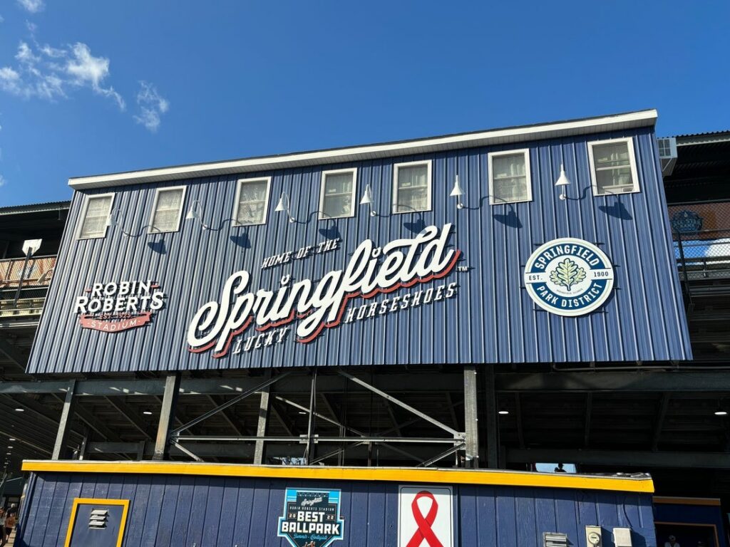 women's professional baseball league