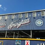 women's professional baseball league