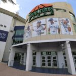 tampa bay rays stadium general view