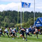 seattle seahawks