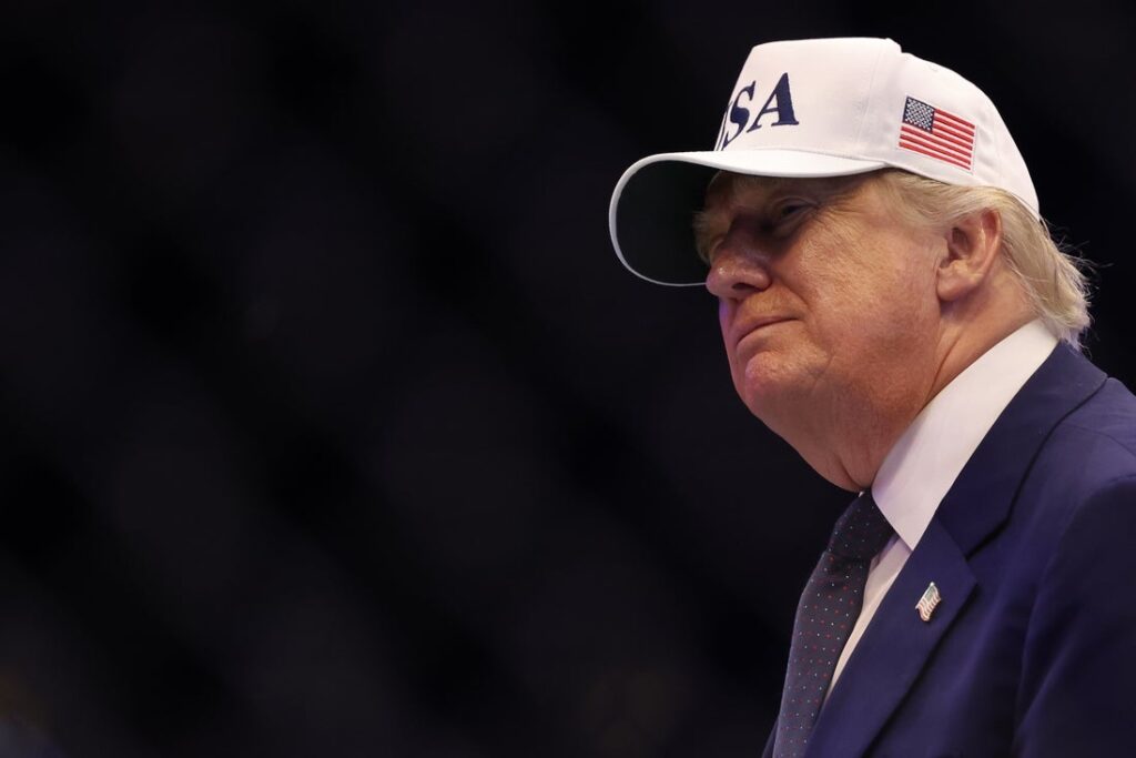 donald trump, ufc