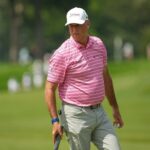 stewart cink