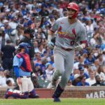 cardinals