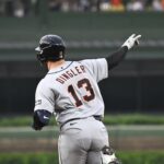 tigers