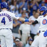 cubs
