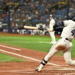 tampa bay rays