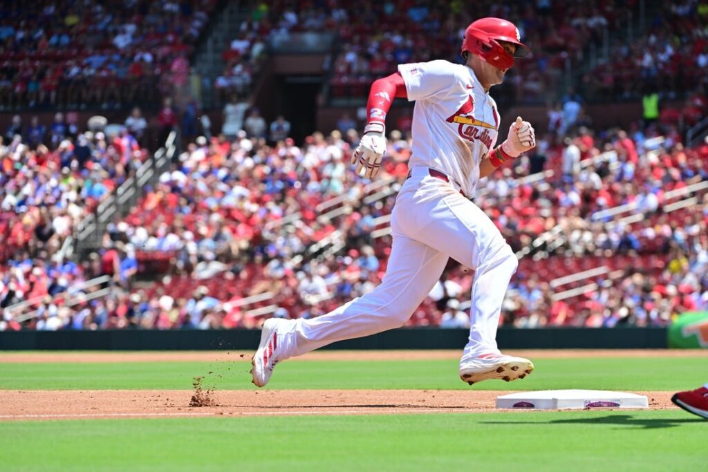 cardinals