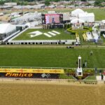 Preakness, pimlico, view