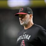 diamondbacks torey dugout