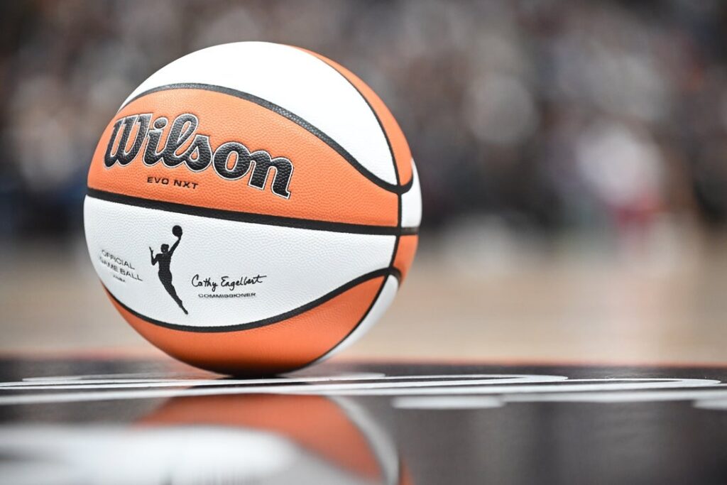 wnba ball view