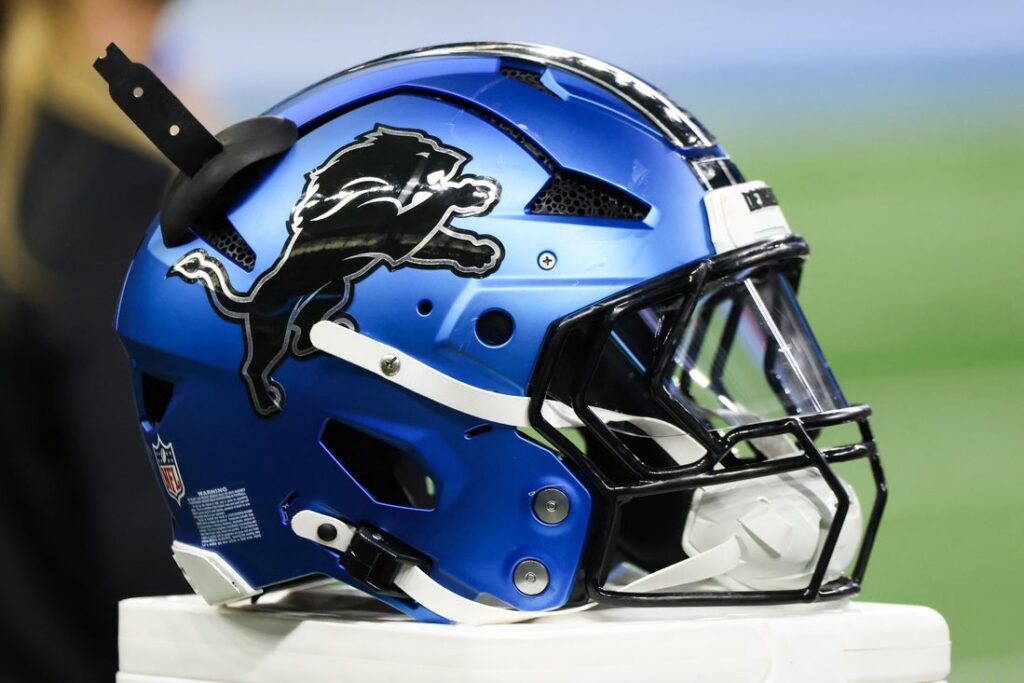 Detroit Lions general view