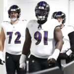 okoye ravens