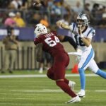 carolina panthers