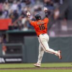 san francisco giants